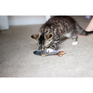 Jolly Moggy Catnip Trout Toy