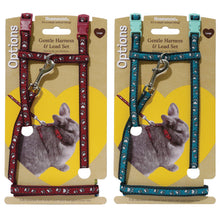 Load image into Gallery viewer, Paw Print Harness &amp; Lead Large