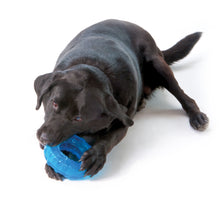 Load image into Gallery viewer, Petstages® ORKA Tyre