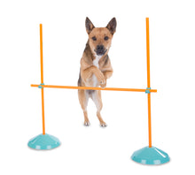 Load image into Gallery viewer, Outward Hound Zip &amp; Zoom Indoor Agility Kit