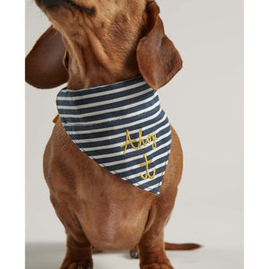 Rosewood Joules Nautical Collar and Neckerchief