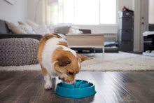 Load image into Gallery viewer, Outward Hound Fun Feeder Teal