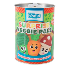 Load image into Gallery viewer, Surprise Veggie Pals Ast