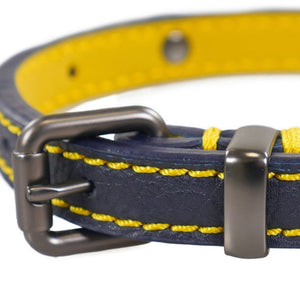 Rosewood Joules Navy Leather Dog Collars