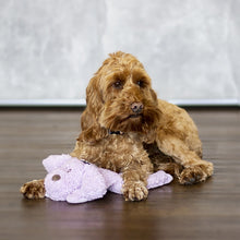 Load image into Gallery viewer, Aromadog Calm Fleece Laying Down Dog