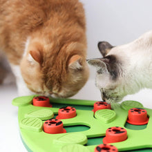 Load image into Gallery viewer, Nina Ottosson Cat Puzzle &#39;n Play Buggin Out