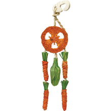 Load image into Gallery viewer, Carrot Dream Catcher