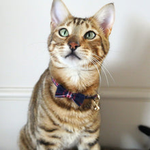 Load image into Gallery viewer, Cat Collar Navy &amp; Red Tartan
