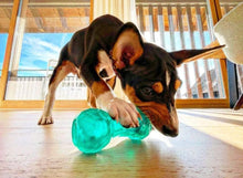 Load image into Gallery viewer, BioSafe Puppy Treat Dumbbell