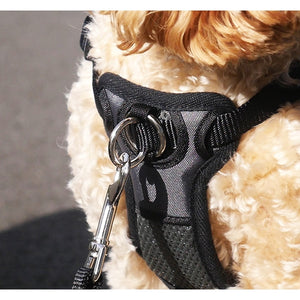 Rosewood Coastal Front-Connect Padded Harness