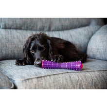 Load image into Gallery viewer, GIGD07_Gigwi Johnny Stick Treat Dispenser