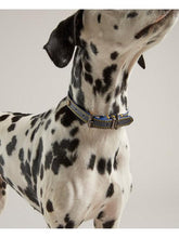 Load image into Gallery viewer, Rosewood Joules Navy Leather Dog Collars
