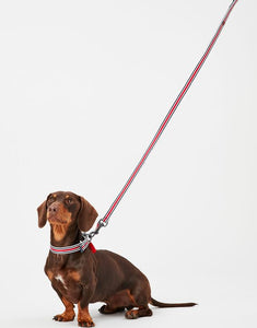 Rosewood Joules Striped Lead