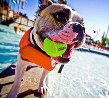 Load image into Gallery viewer, Outward Hound® Granby Ripstop Life Jackets