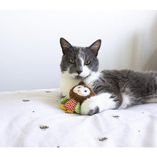 Load image into Gallery viewer, Kitten Bundled Kit - Boy