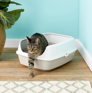 Maryloo Litter Tray with Rim Large