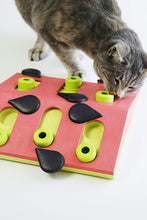 Load image into Gallery viewer, Nina Ottosson Cat Puzzle &#39;n Play Melon Madness