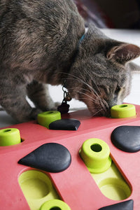 Nina Ottosson Cat Puzzle 'n Play Melon Madness