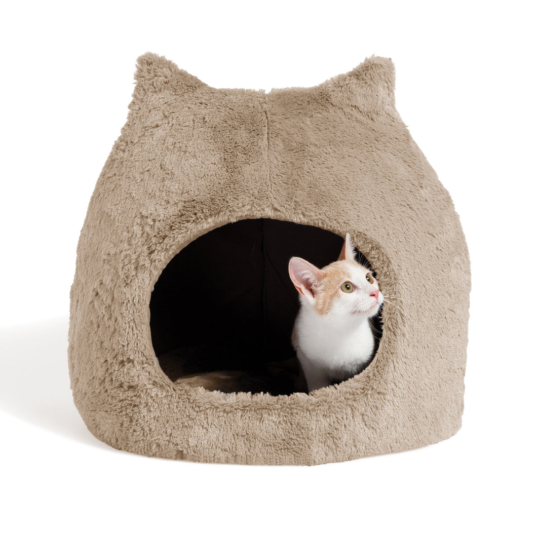 Meow Hut Wheat