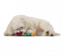 Load image into Gallery viewer, Petstages® Mini Dental Chew Pack