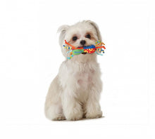 Load image into Gallery viewer, Petstages® Mini Chew Starter Pack