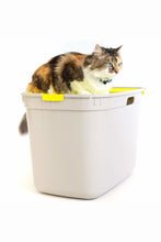 Load image into Gallery viewer, Top Cat Toilet