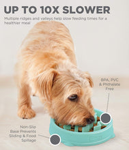 Load image into Gallery viewer, Outward Hound Fun Feeder Tiny