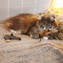 Load image into Gallery viewer, RWC15_Rosewood_Jolly Moggy Silvervine Plush Mice 2pc
