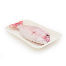 Load image into Gallery viewer, RWC71_Rosewood_Jolly Moggy Catnip Red Snapper