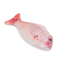 Load image into Gallery viewer, RWC71_Rosewood_Jolly Moggy Catnip Red Snapper