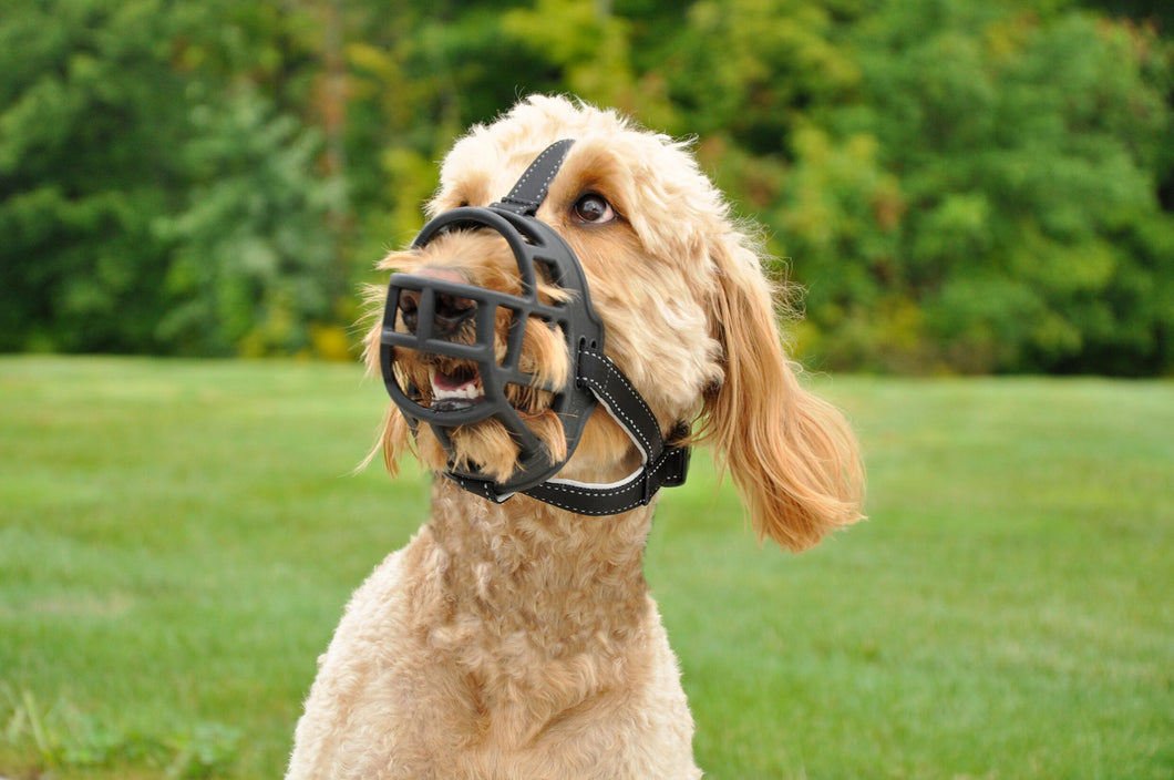 RWD172_Rosewood_Soft Basket Muzzle