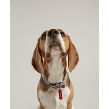 Load image into Gallery viewer, Rosewood &amp; Joules Striped Dog Collars