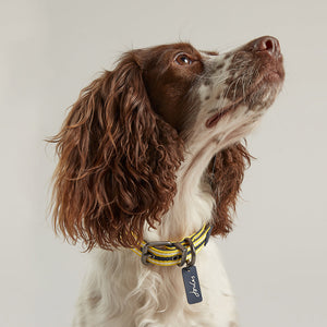 Rosewood Joules Navy Coastal Dog Collars