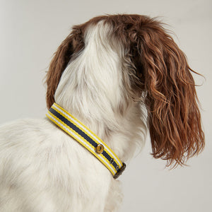 Rosewood Joules Navy Coastal Dog Collars