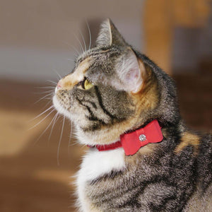 Cat Collar Red Bow Tie