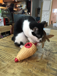 L'Chic Roll Play Cone + FREE Kitty Crunch