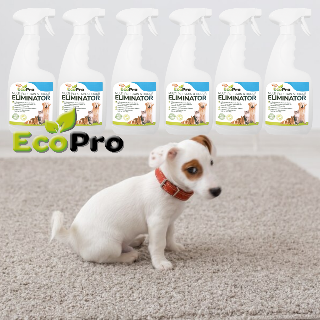 EcoPro Stain Odour Eliminator Bulk Deal 6x500ml