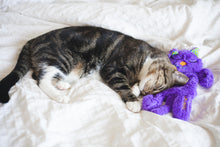 Load image into Gallery viewer, TOYC39_Catstages_Purr Pillow
