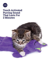 Load image into Gallery viewer, TOYC39_Catstages_Purr Pillow