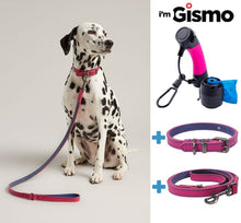 Load image into Gallery viewer, Dog Walking Kit - Pink