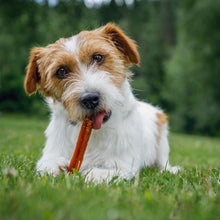 Load image into Gallery viewer, Whimzees Small Stix Flow Pack (4pc)