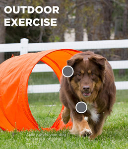 Zip & Zoom Outdoor Dog Agility Kit