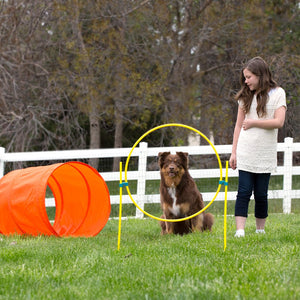 Zip & Zoom Outdoor Dog Agility Kit