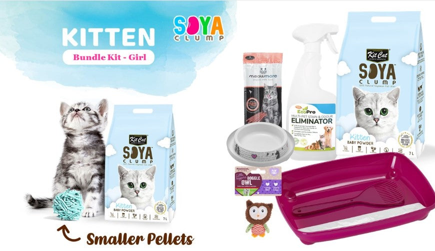 Kitten Bundled Kit - Girl