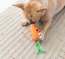 Load image into Gallery viewer, Petstages® Carrot Stuffer