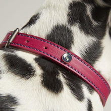 Load image into Gallery viewer, Rosewood Joules Pink Leather Dog Collars